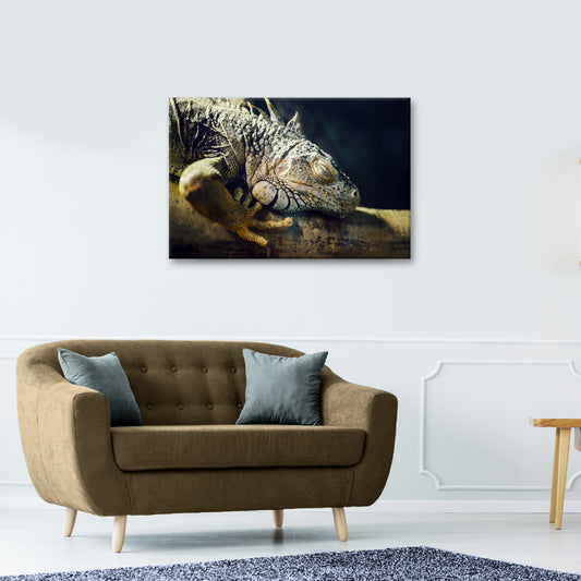 Reptile Lizard Sleepy Iguana Canvas Wall Art - Image by Tailored Canvases