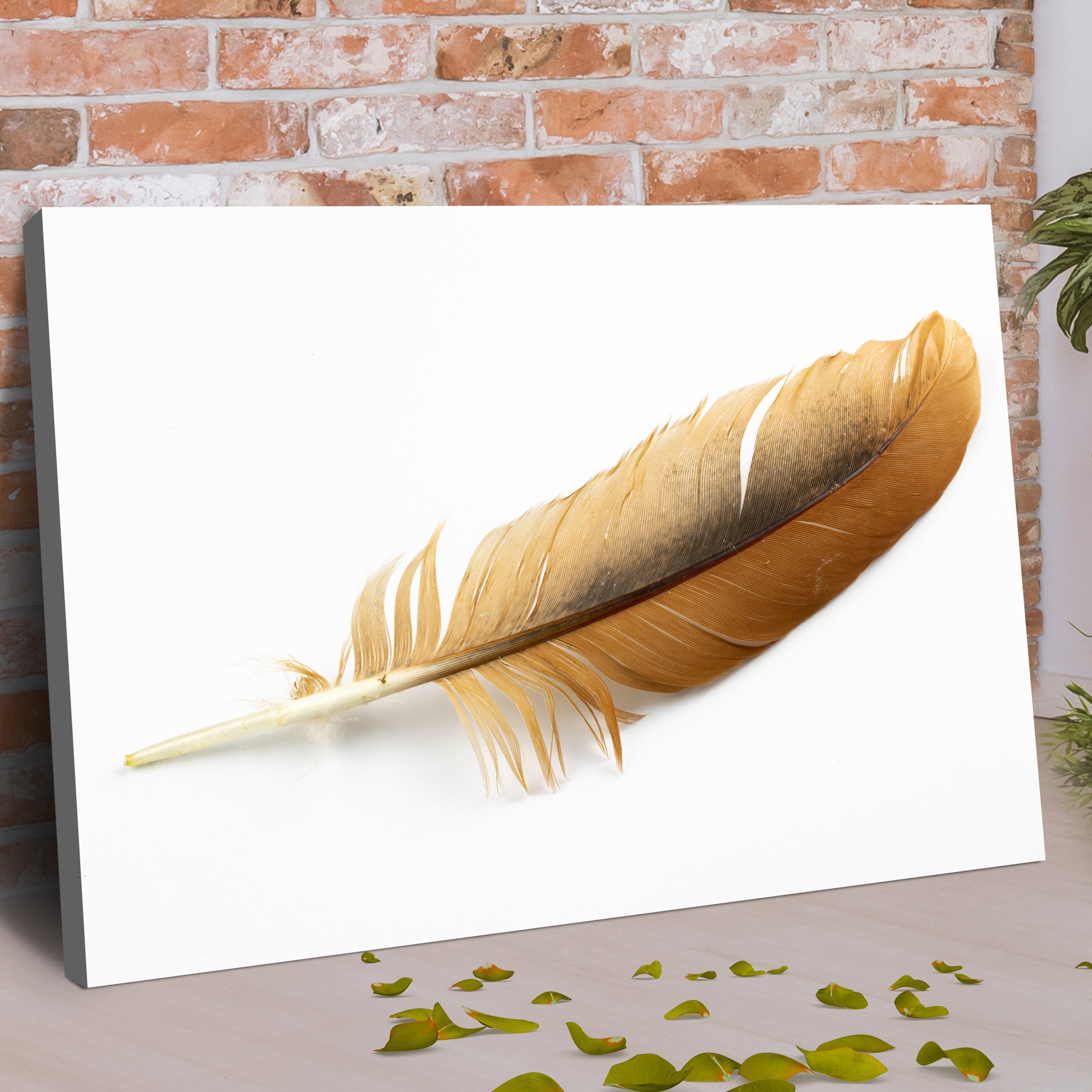 Decor Elements Feather Eagle Canvas Wall Art Style 2 - Image by Tailored Canvases