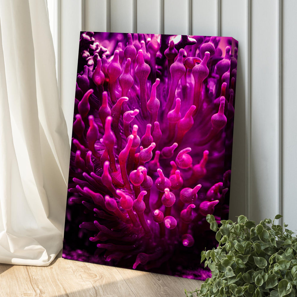 Decor Elements Corals Pink Reef Canvas Wall Art by Tailored Canvases