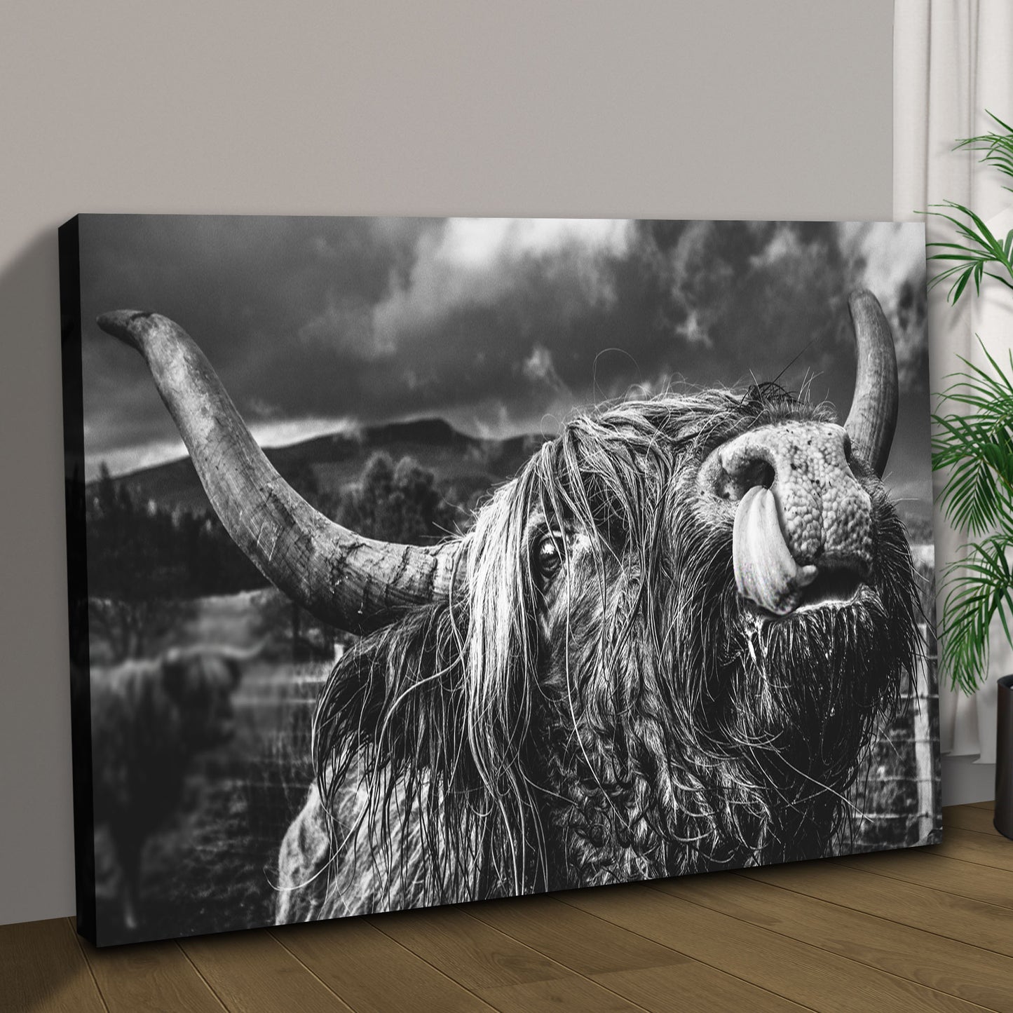 West Highland Cow Monochrome Canvas Wall Art Style 1 - Image by Tailored Canvases
