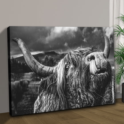 West Highland Cow Monochrome Canvas Wall Art - Image by Tailored Canvases