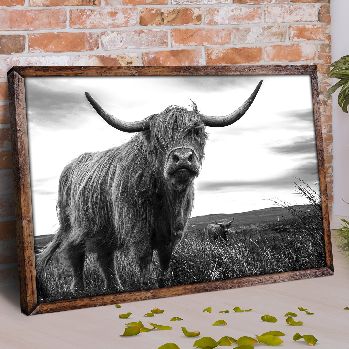 Highland Cow Black And White Portrait Canvas Wall Art Style 1 - Image by Tailored Canvases