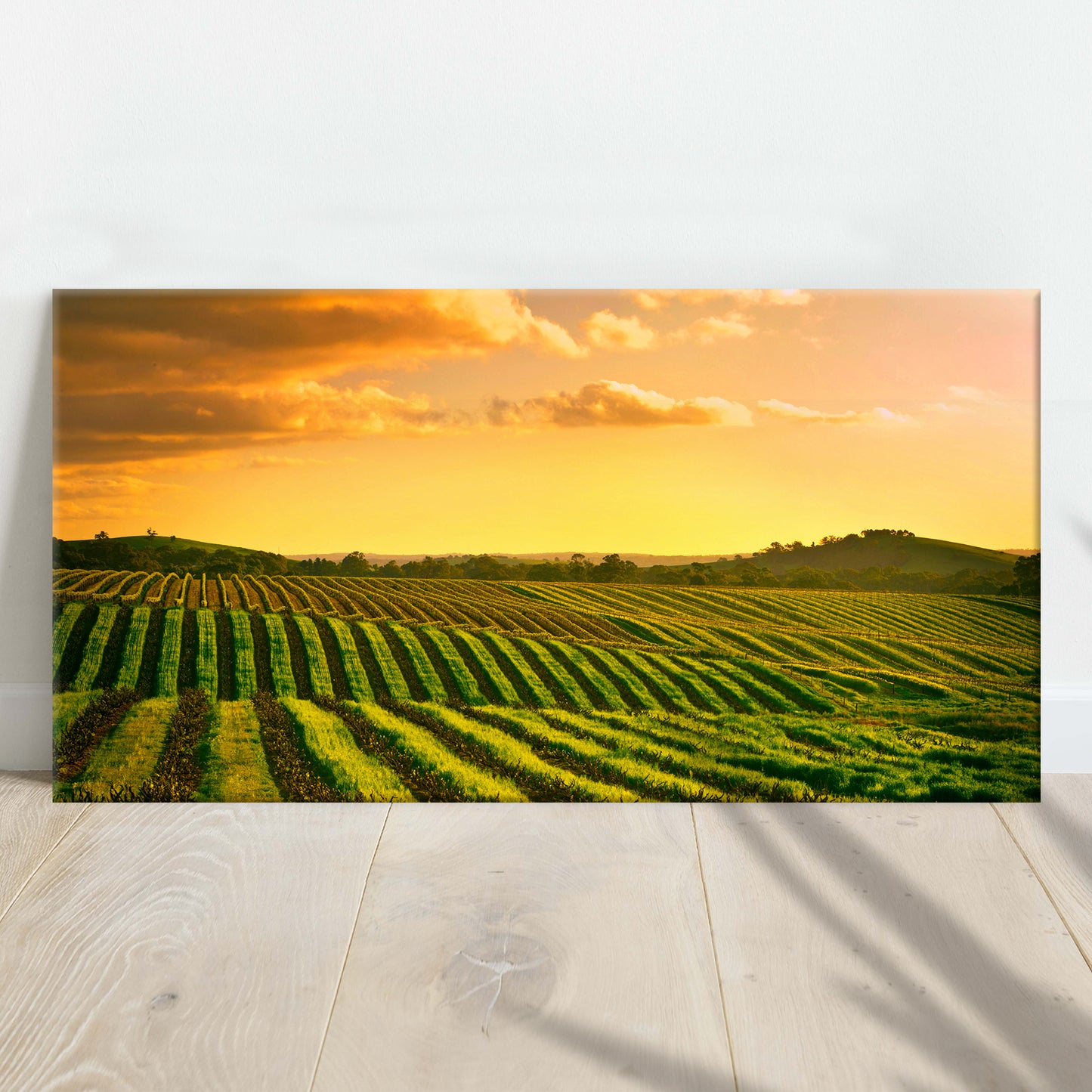 Sunset In Barossa Vineyard Canvas Wall Art - Image by Tailored Canvases
