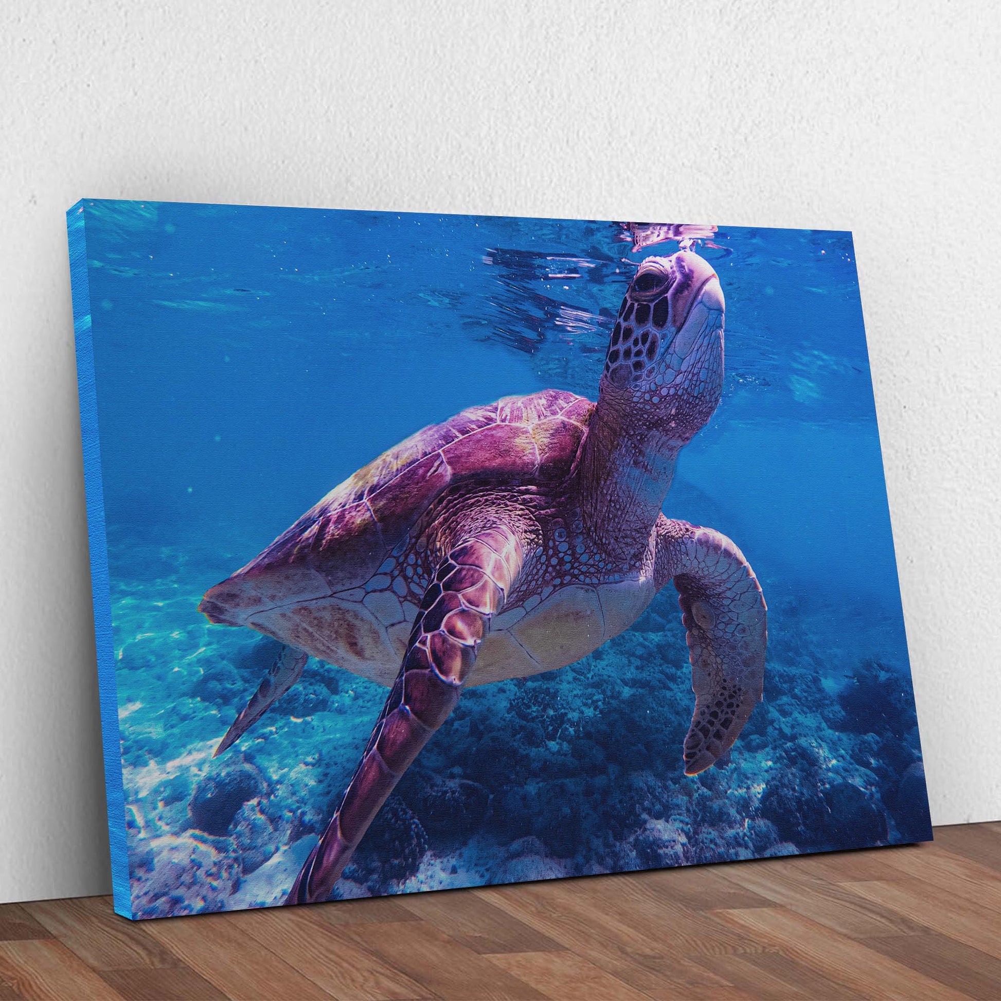 Sea Turtle Swimming Canvas Wall Art Style 1 - Image by Tailored Canvases