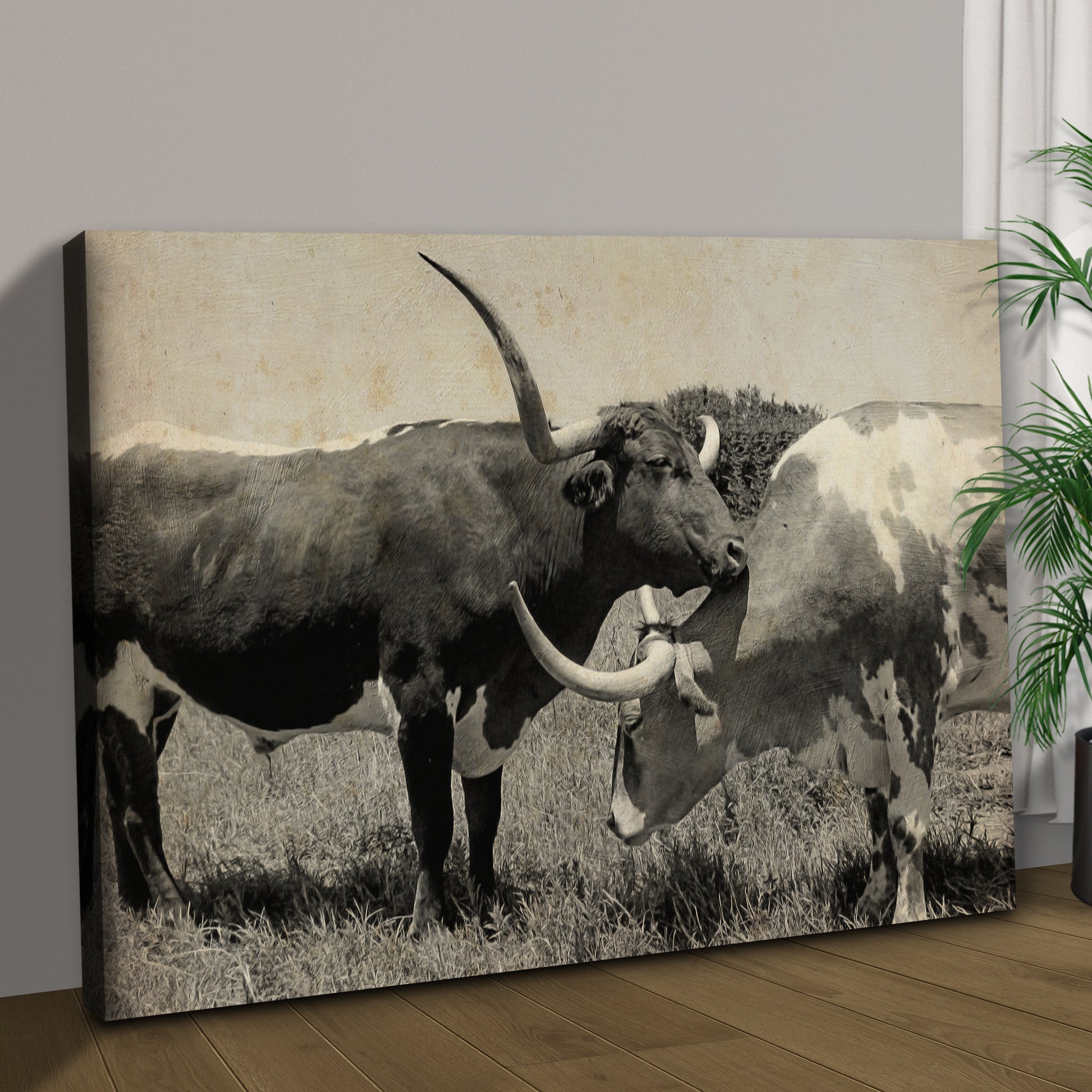 Rustic Longhorn Cattle Love Canvas Wall Art Style 1 - Image by Tailored Canvases