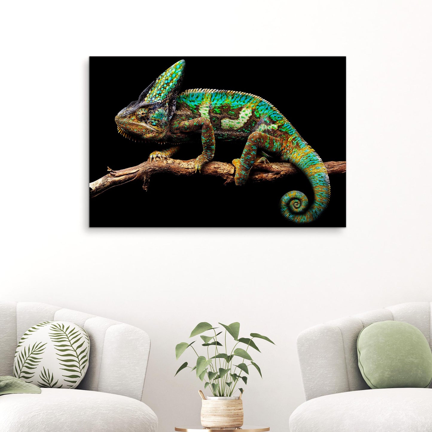 Reptile Lizard Veiled Chameleon Canvas Wall Art Style 1 - by Tailored Canvases