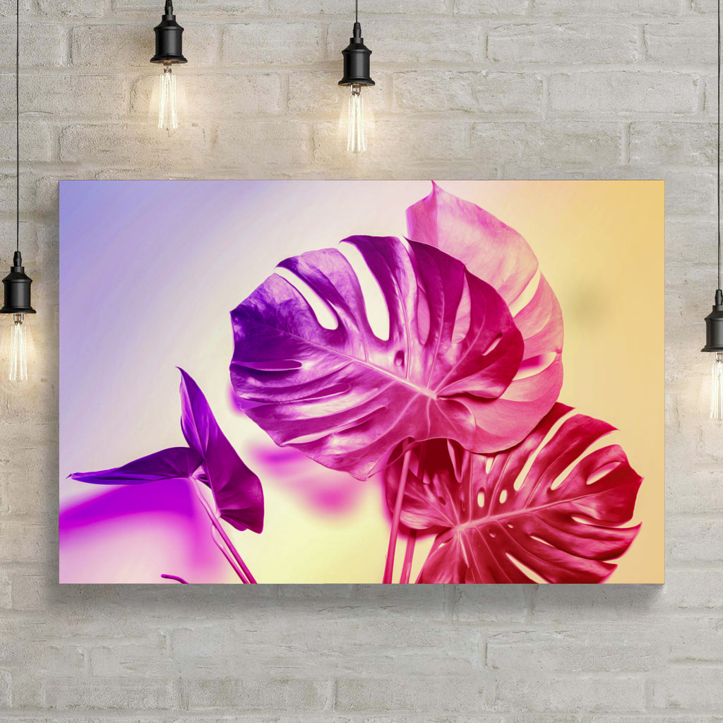 Pink Hued Monstera Leaves Canvas Wall Art by Tailored Canvases