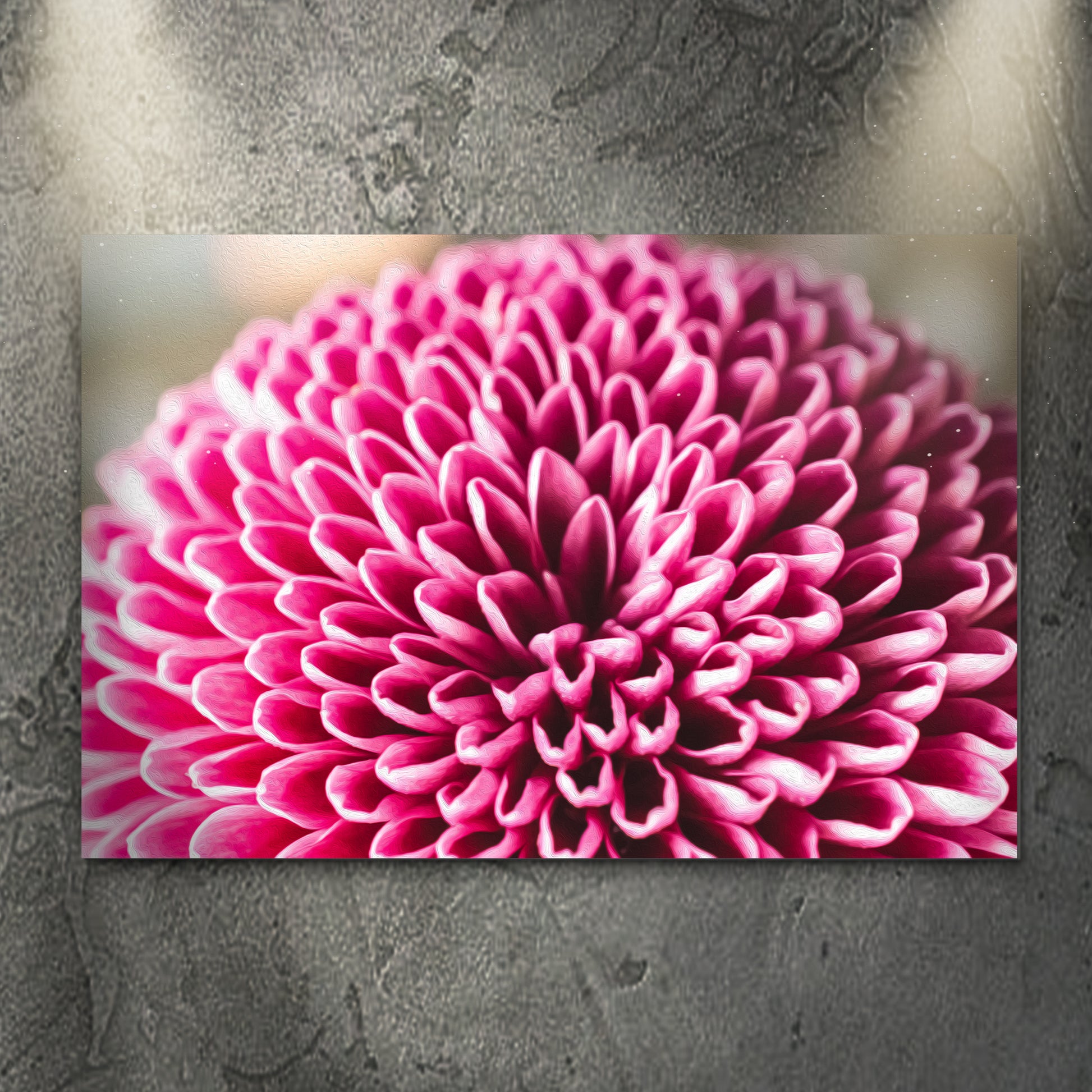 Macro Pink Chrysanthemum Canvas Wall Art - Image by Tailored Canvases