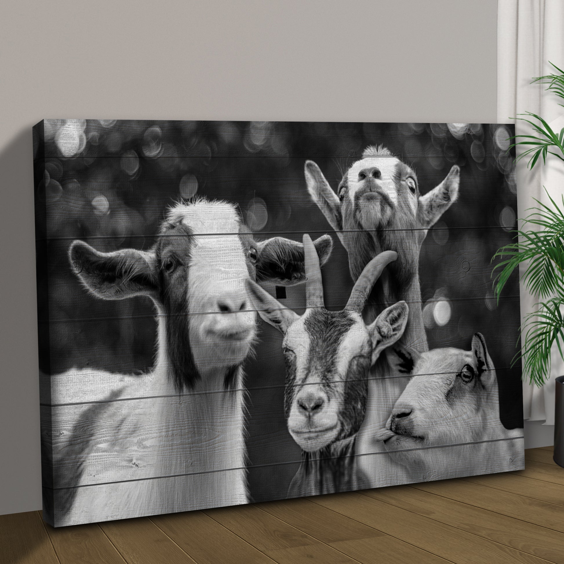 Cheerful Goats Canvas Wall Art Style 1 - Image by Tailored Canvases