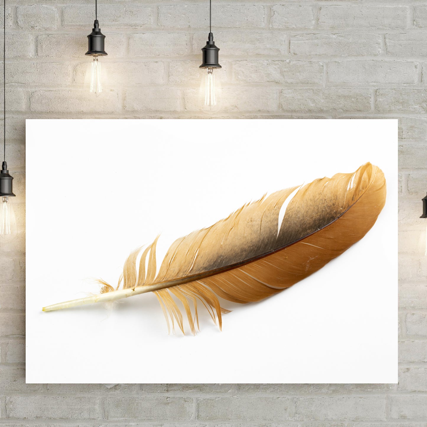 Decor Elements Feather Eagle Canvas Wall Art Style 1 - Image by Tailored Canvases