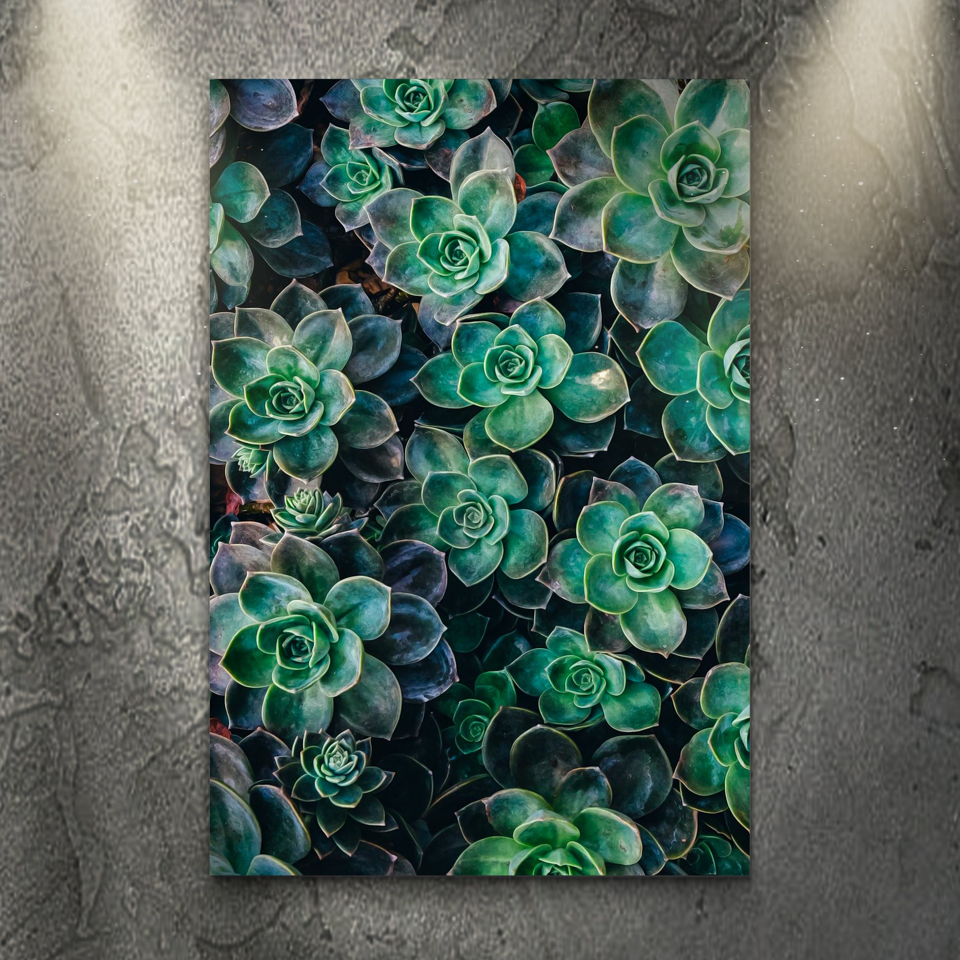 Greenery Succulents Canvas Wall Art - Image by Tailored Canvases