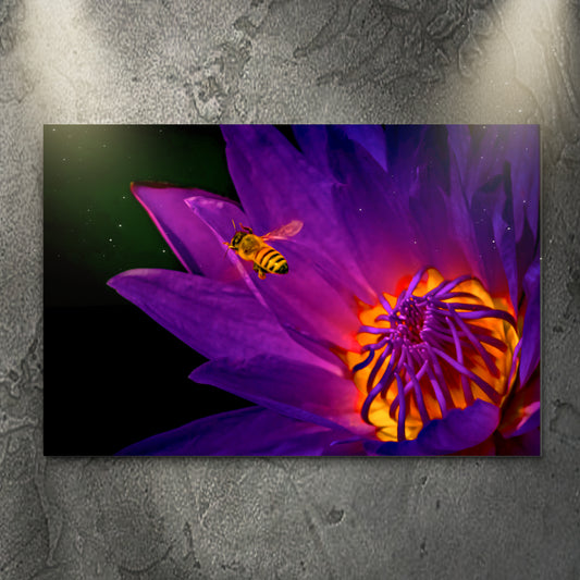 Dramatic Bee On Purple Flower Canvas Wall Art