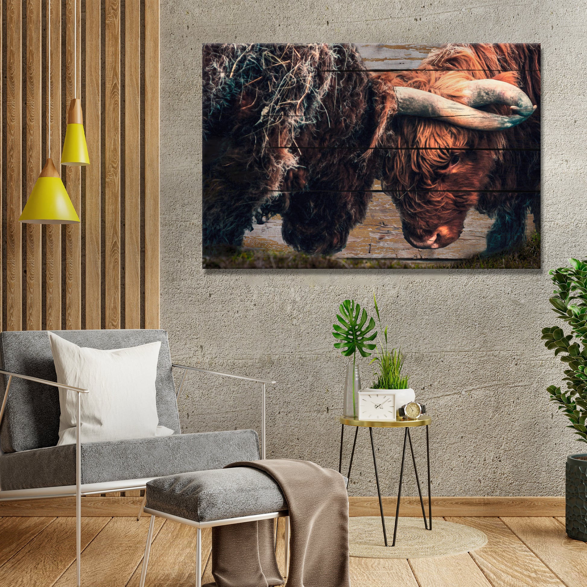 Highland Cow Sparring Canvas Wall Art Style 2 - Image by Tailored Canvases