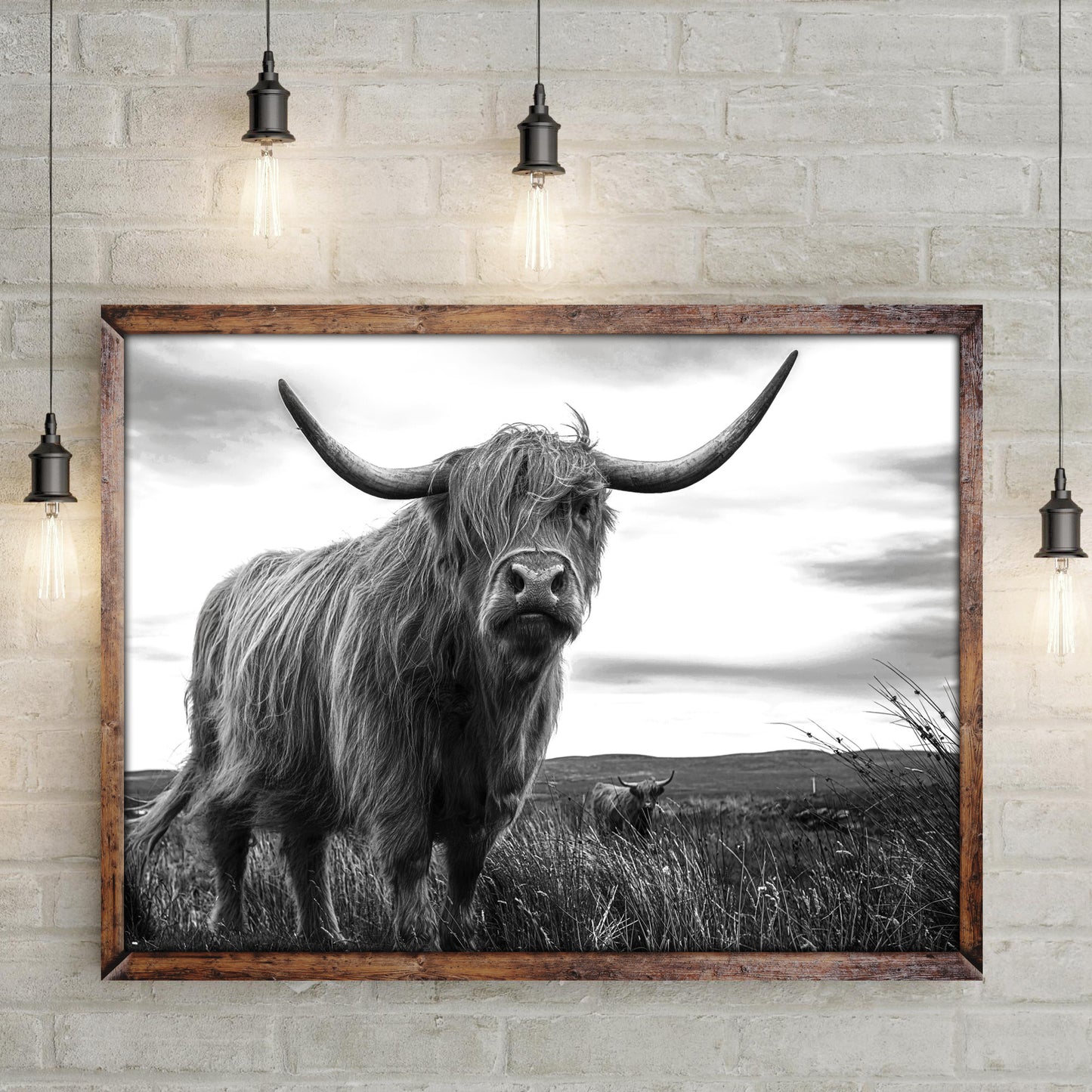 Highland Cow Black And White Portrait Canvas Wall Art - Image by Tailored Canvases