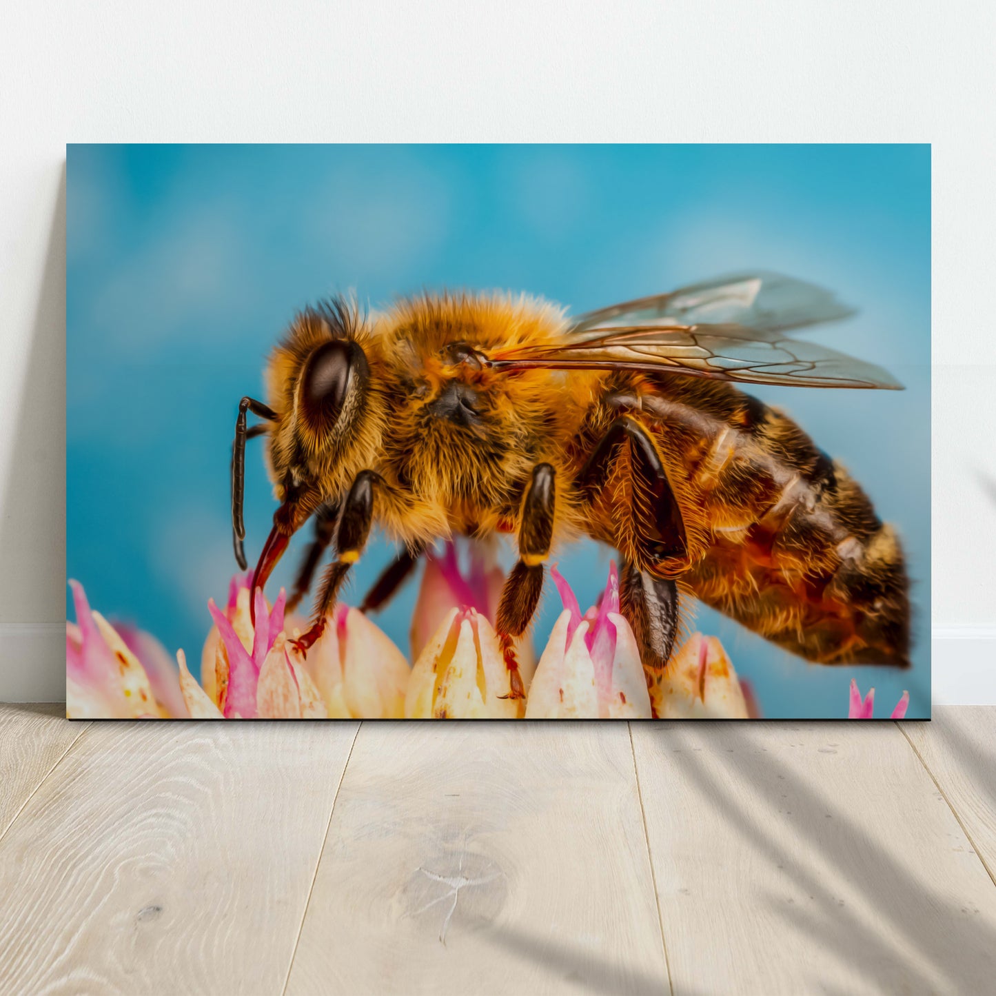 Macro Pollen Bee Canvas Wall Art - Image by Tailored Canvases