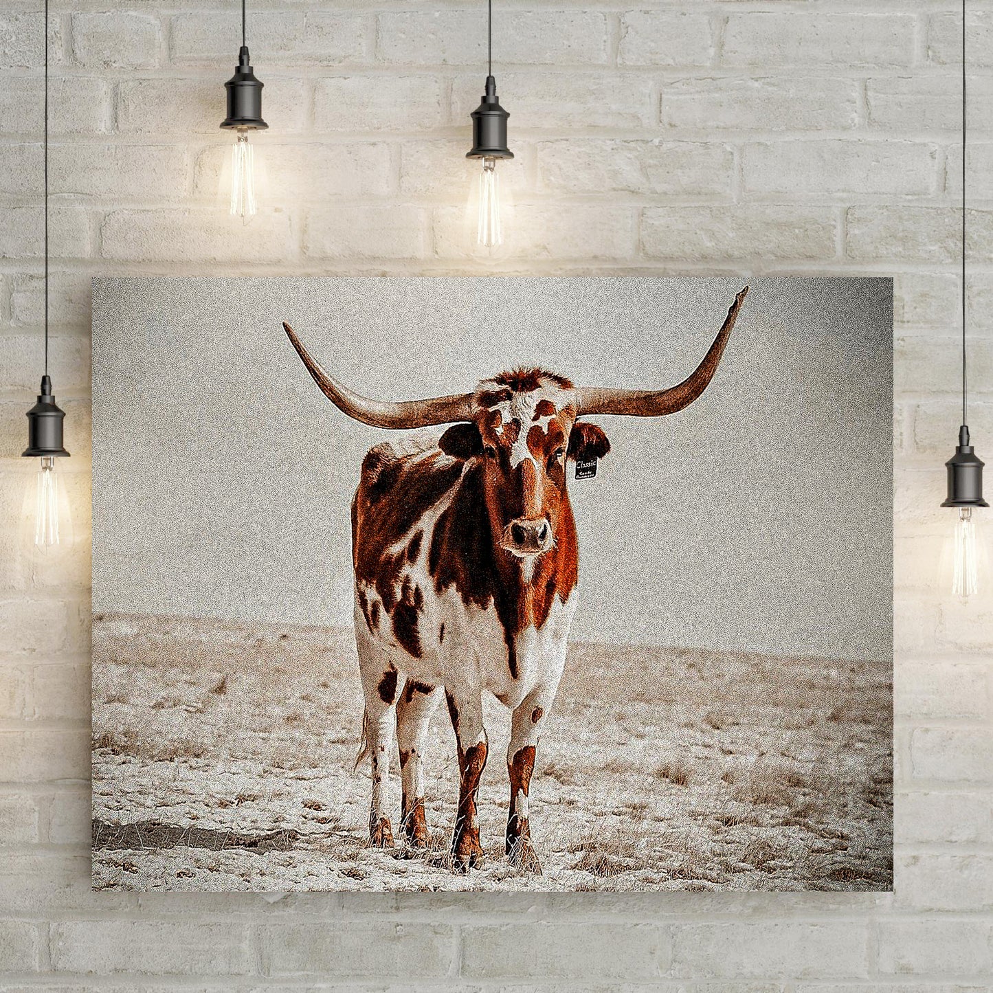 Vintage Longhorn Cattle Canvas Wall Art - Image by Tailored Canvases