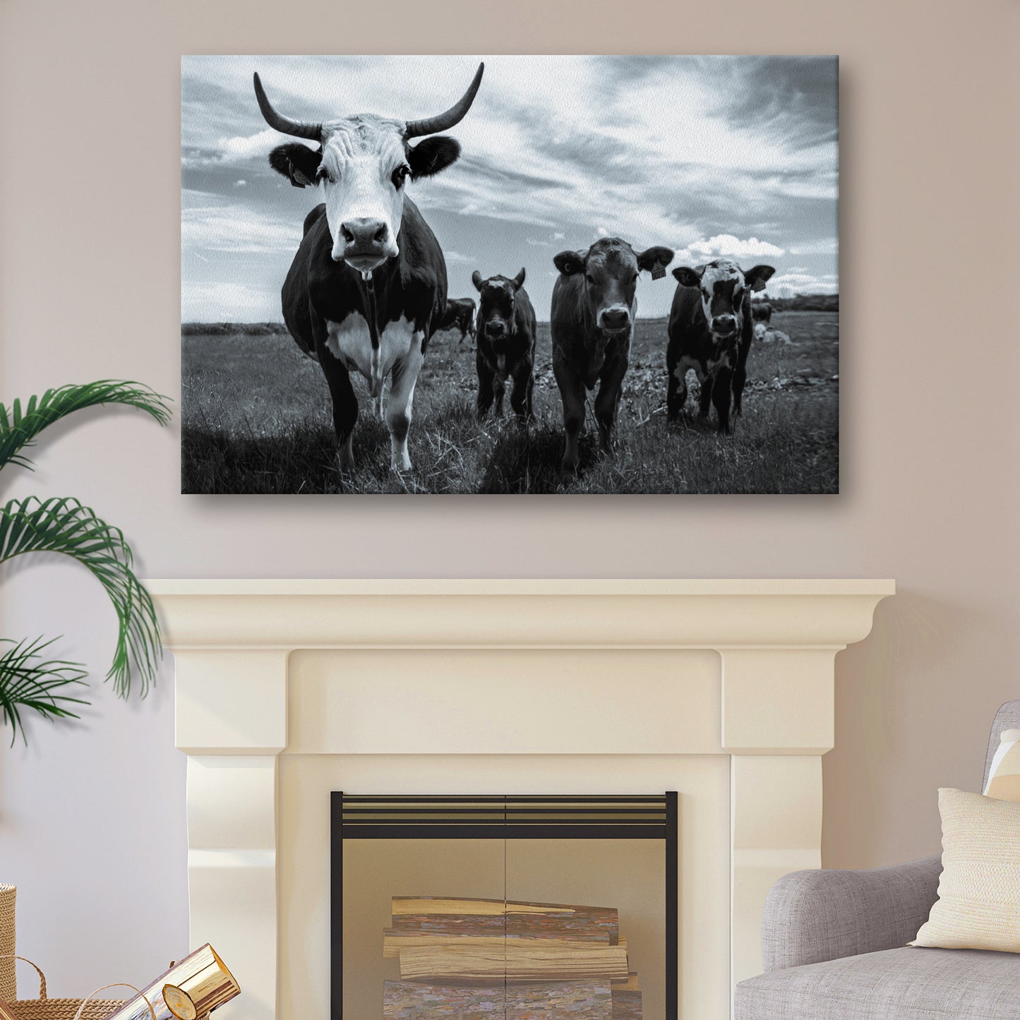 Grayscale Curious Cattle Cows Canvas Wall Art - Image by Tailored Canvases
