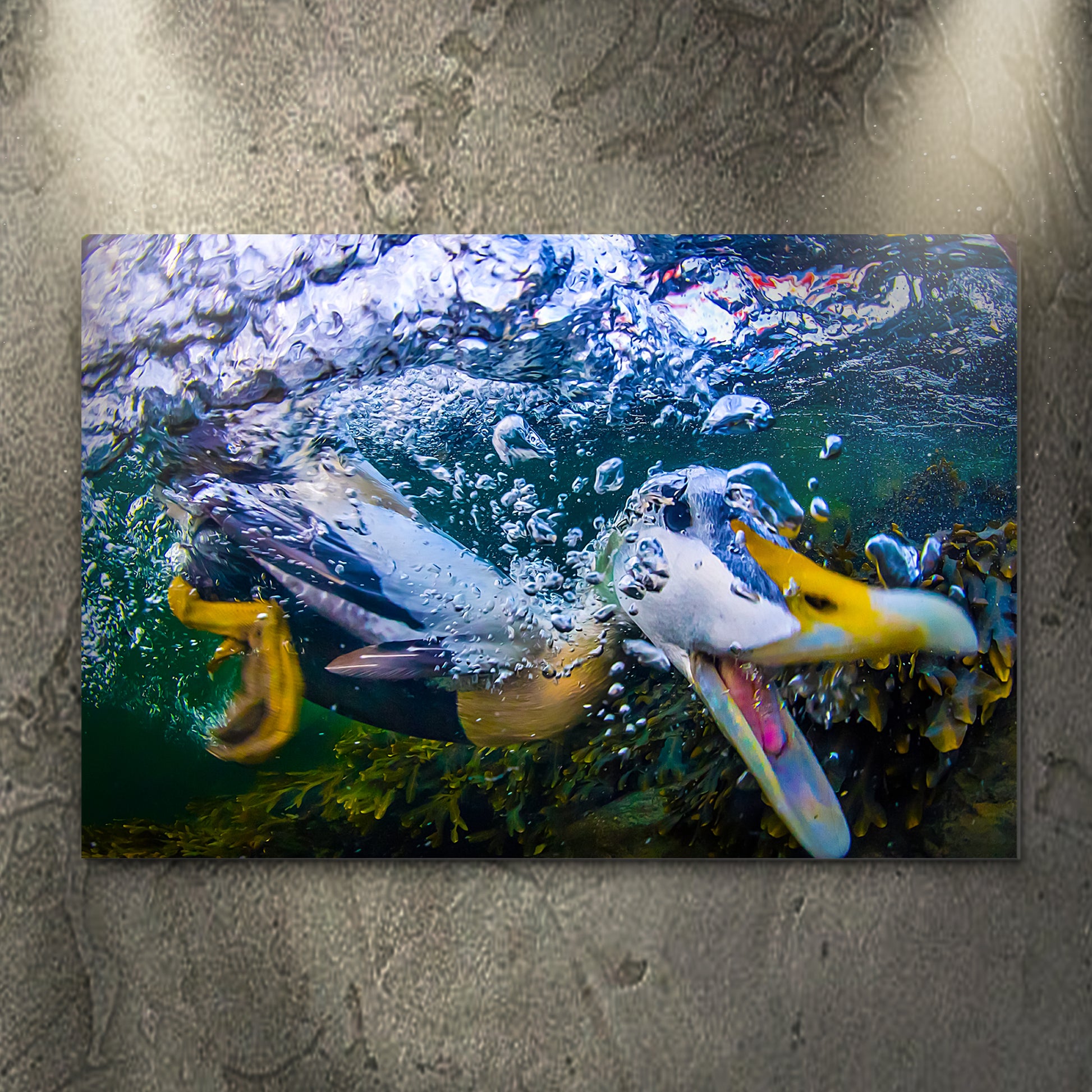 Diving Duck Canvas Wall Art Style 1 - Image by Tailored Canvases