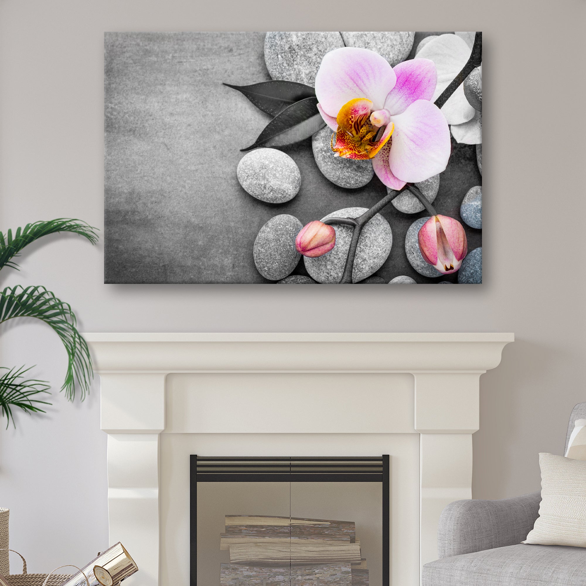 Fresh White Orchid Flower Canvas Wall Art – Tailored Canvases