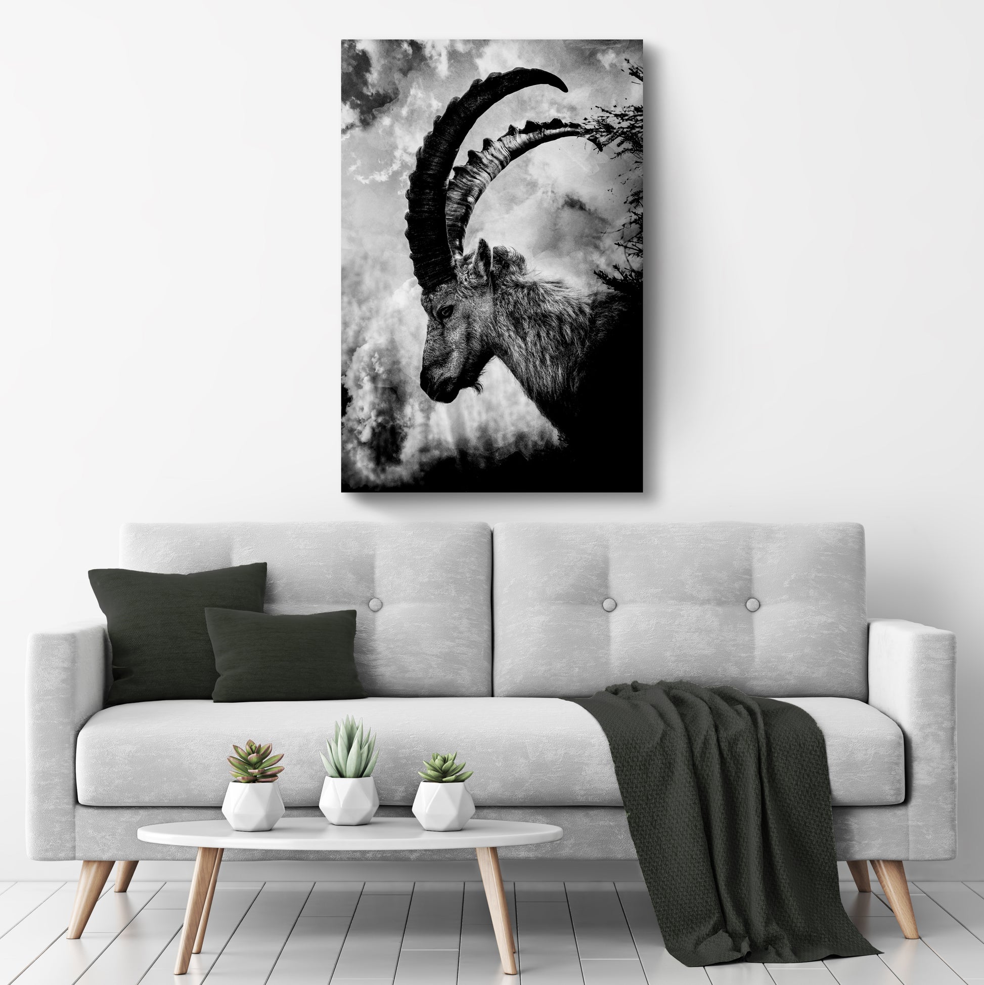Monochrome Long Horned Goat Canvas Wall Art Style 2 - Image by Tailored Canvases