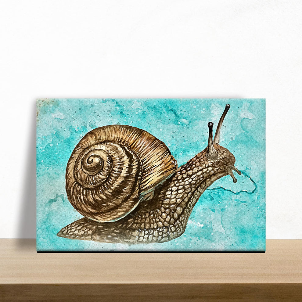 Insect Snail Watercolor Canvas Wall Art II by Tailored Canvases
