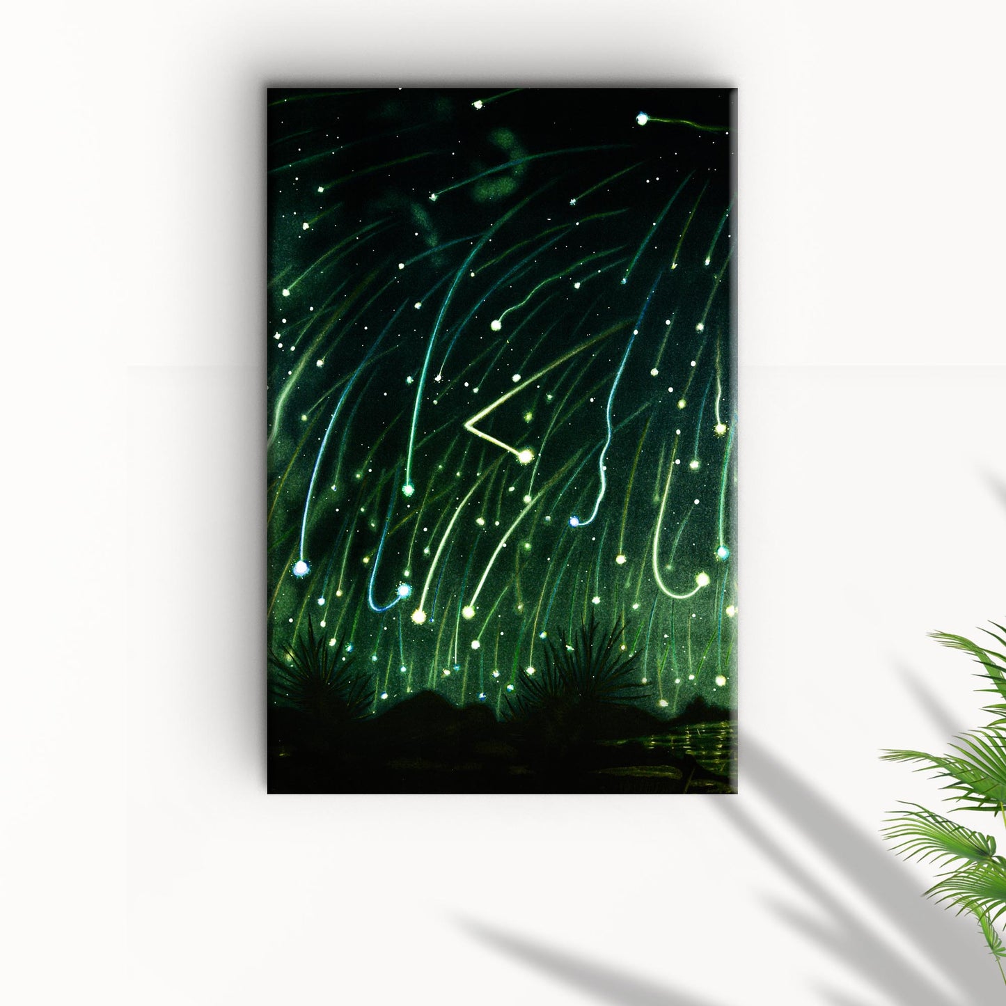 Trouvelot Meteors Canvas Wall Art Style 1 - Image by Tailored Canvases