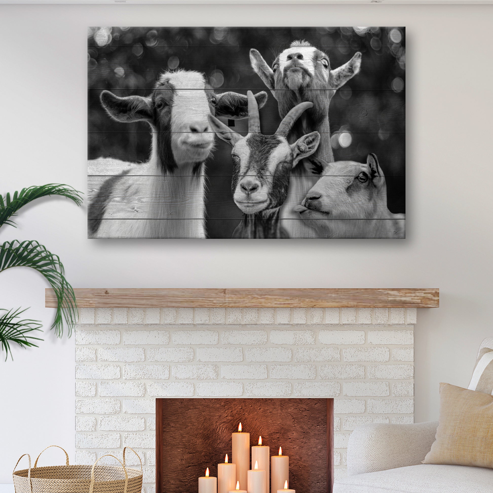 Cheerful Goats Canvas Wall Art - Image by Tailored Canvases