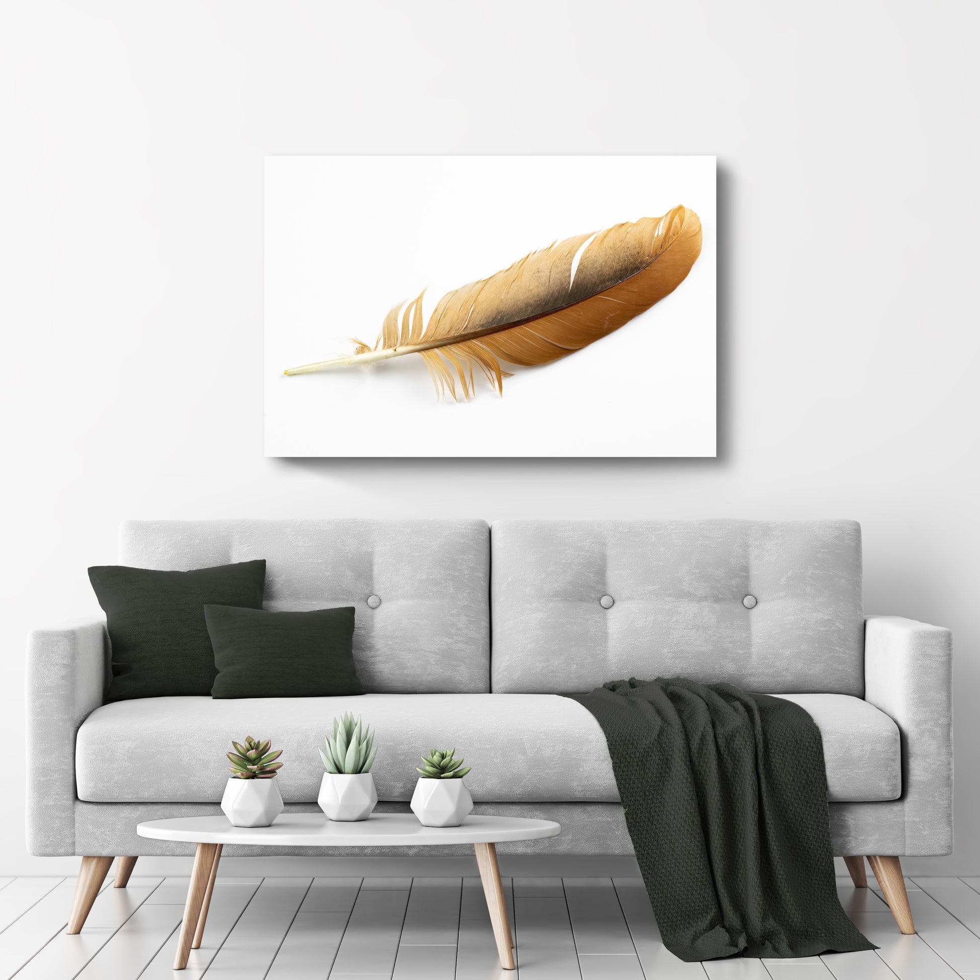 Decor Elements Feather Eagle Canvas Wall Art  - Image by Tailored Canvases