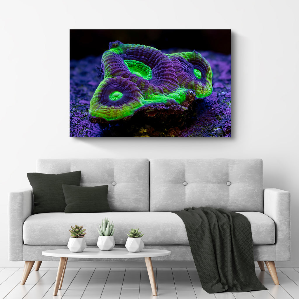 Decor Elements Corals Green Favia Canvas Wall Art by Tailored Canvases