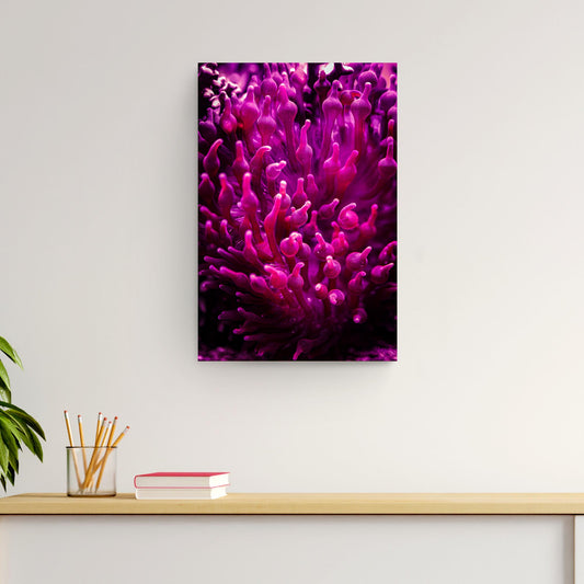 Decor Elements Corals Pink Reef Canvas Wall Art - Image by Tailored Canvases