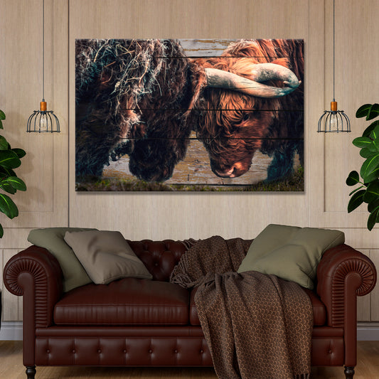 Highland Cow Sparring Canvas Wall Art - Image by Tailored Canvases