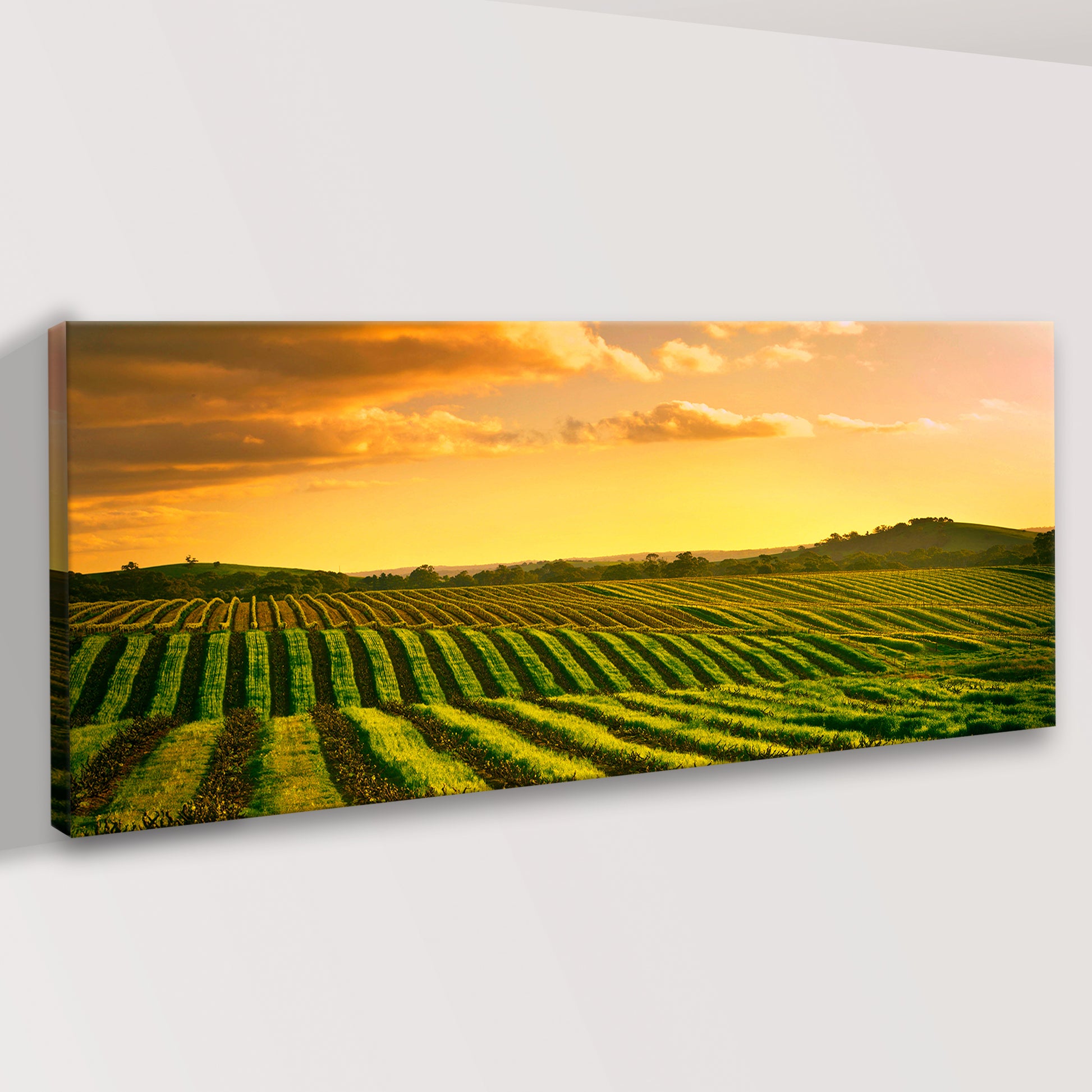 Sunset In Barossa Vineyard Canvas Wall Art Style 1 - Image by Tailored Canvases