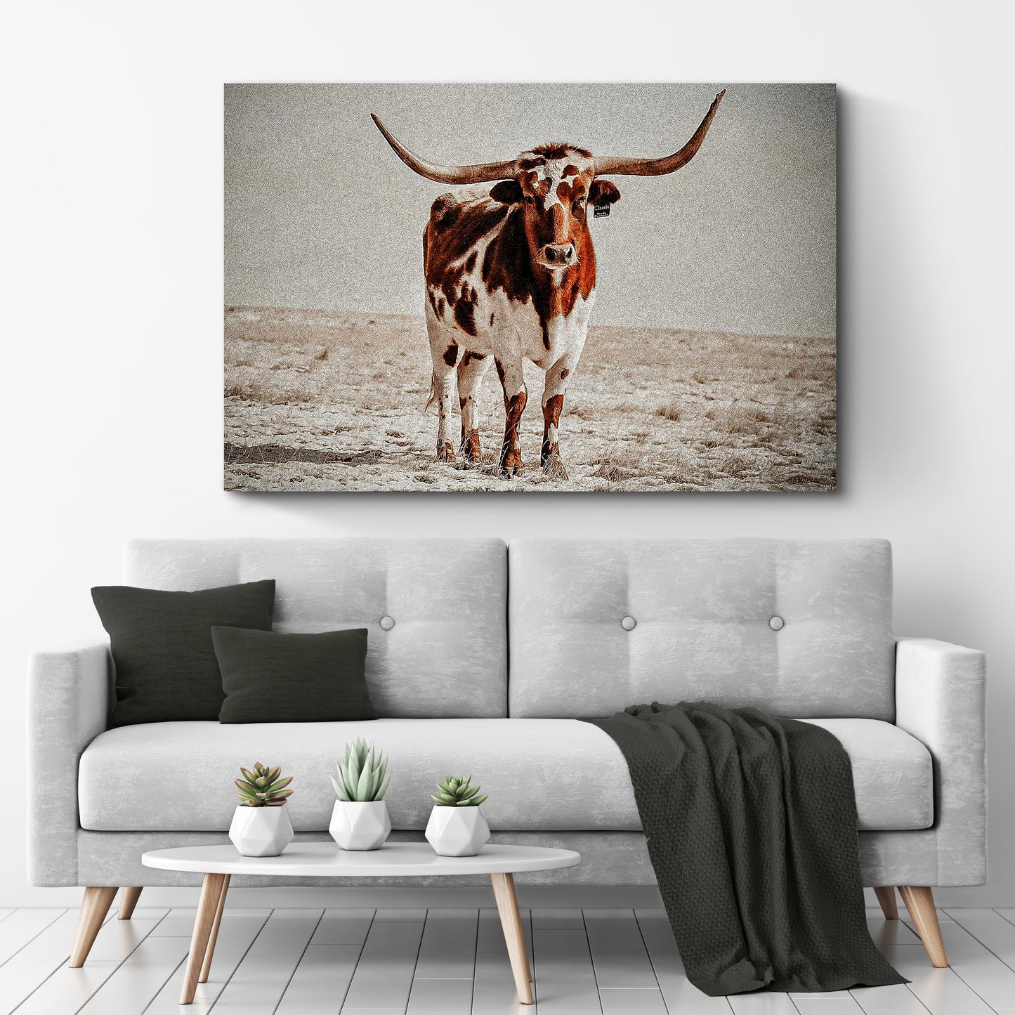 Vintage Longhorn Cattle Canvas Wall Art Style 2 - Image by Tailored Canvases