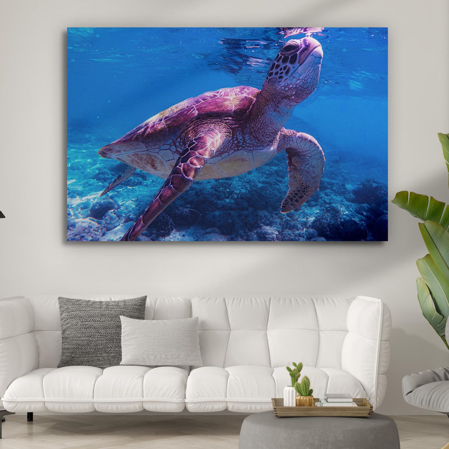 Sea Turtle Swimming Canvas Wall Art - Image by Tailored Canvases