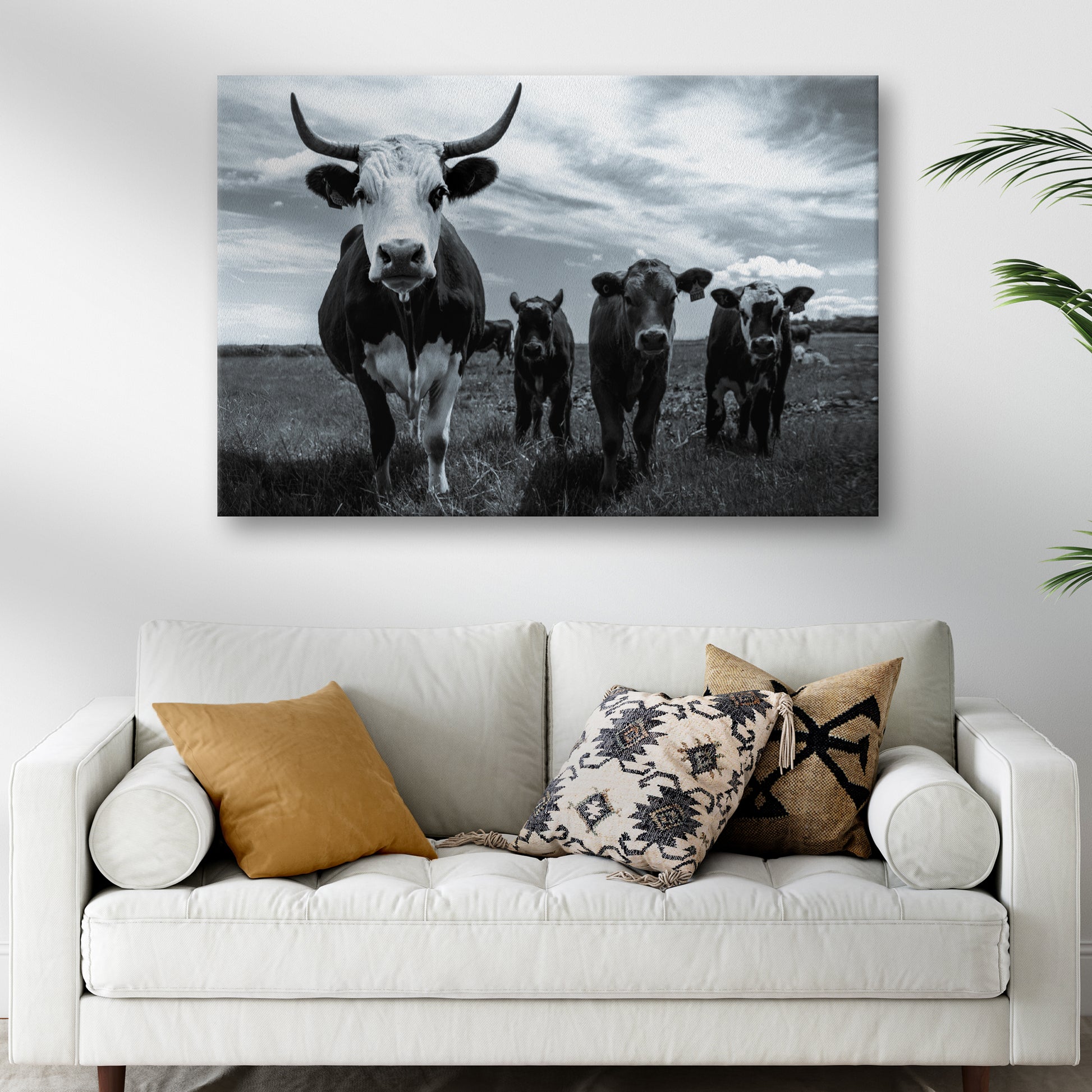 Grayscale Curious Cattle Cows Canvas Wall Art Style 2 - Image by Tailored Canvases