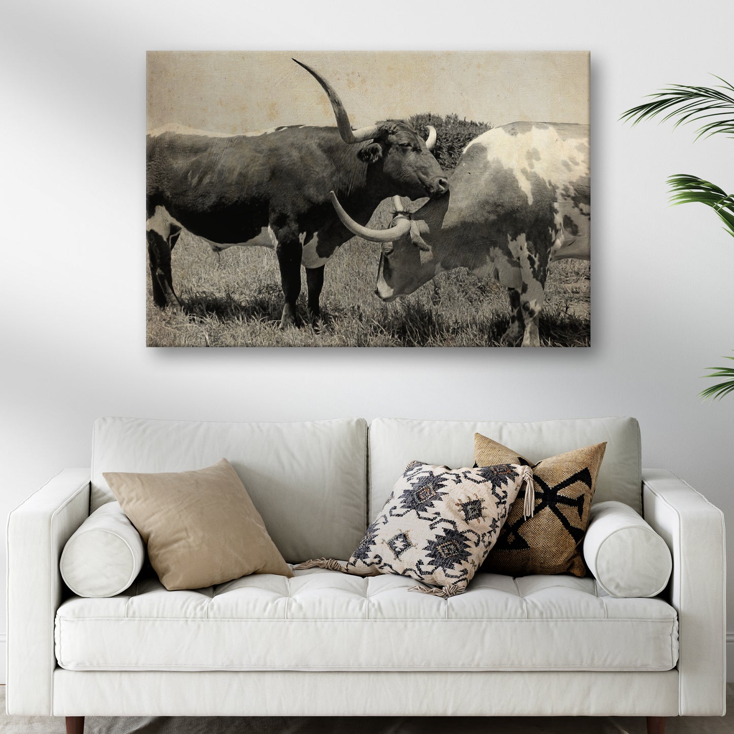 Rustic Longhorn Cattle Love Canvas Wall Art Style 2 - Image by Tailored Canvases
