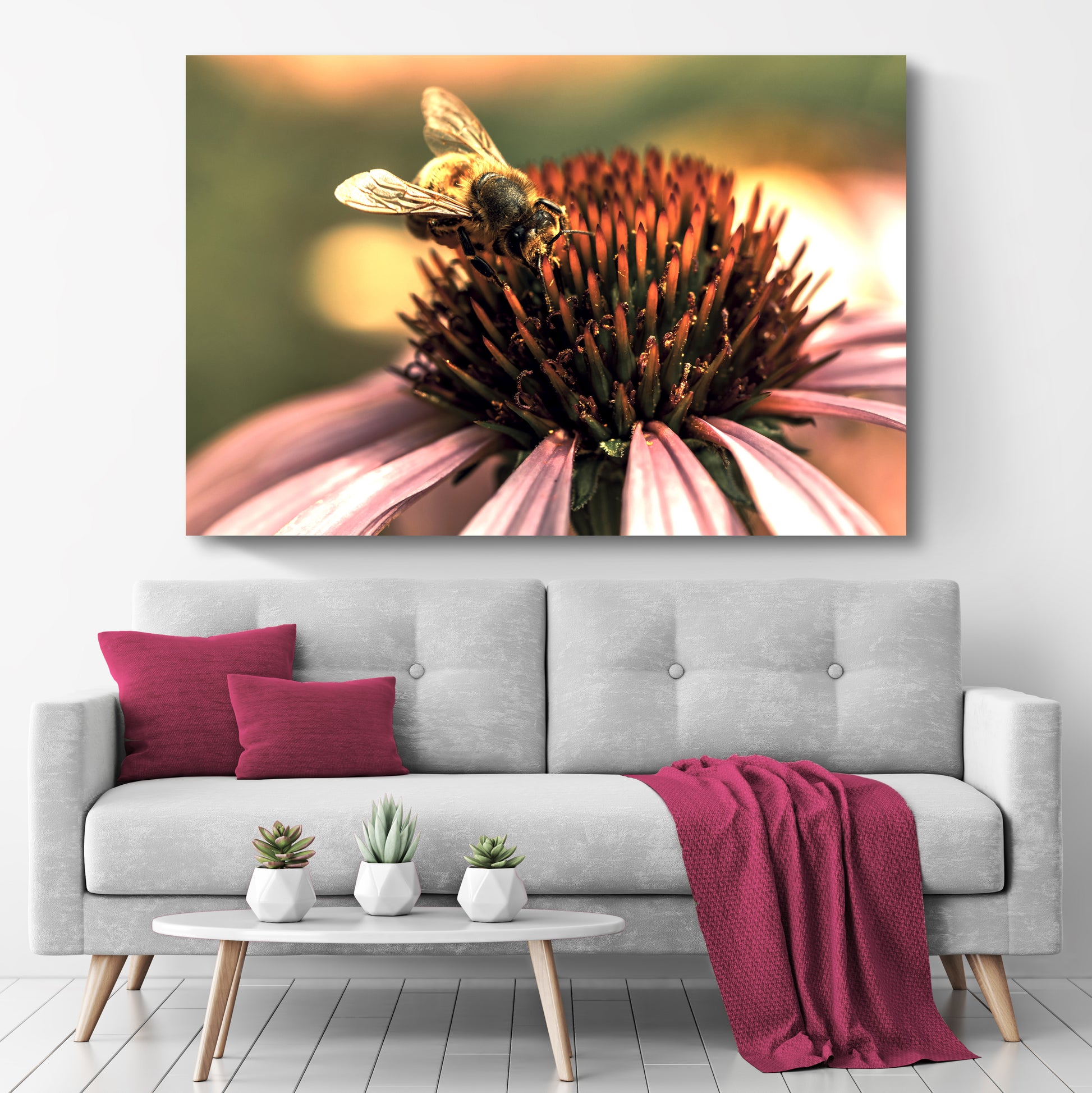 Bee On Coneflower Canvas Wall Art Style 2 - Image by Tailored Canvases
