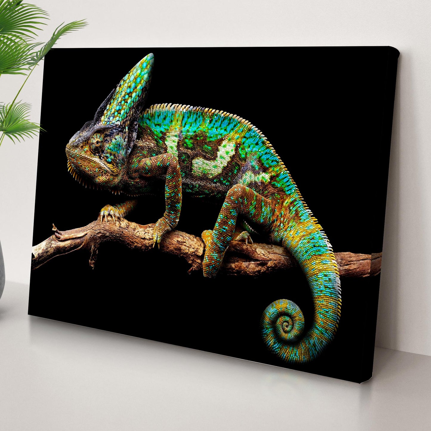 Reptile Lizard Veiled Chameleon Canvas Wall Art Style 2 - by Tailored Canvases