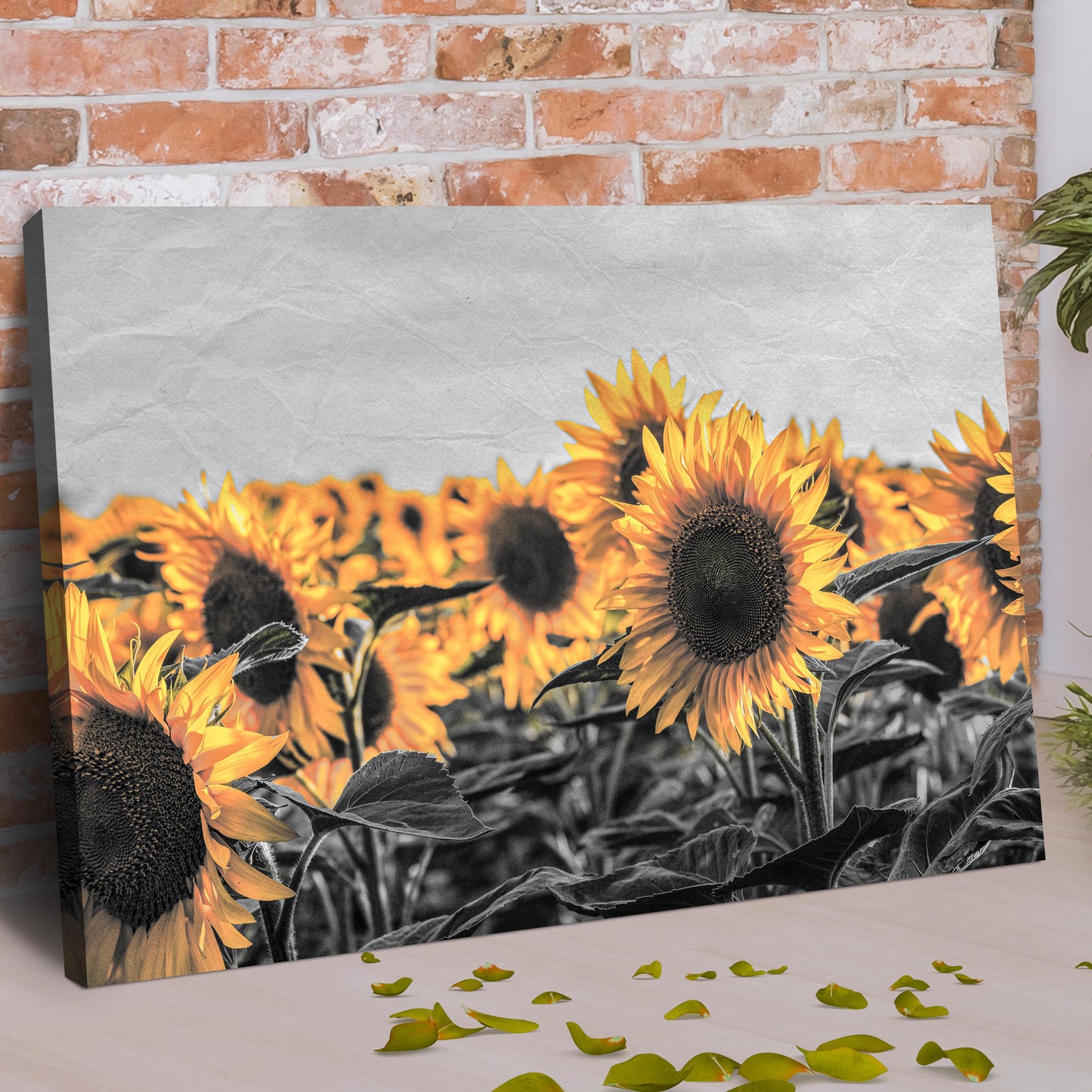 Rustic Pop Sunflower Canvas Wall Art Style 1 - Image by Tailored Canvases