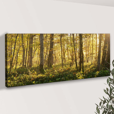Silent Forest Trees Canvas Wall Art - Image by Tailored Canvases