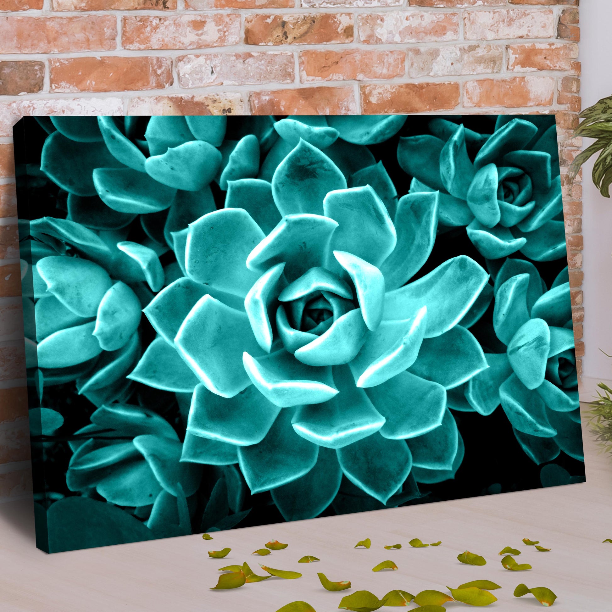 Teal Rose Succulent Canvas Wall Art II Style 1 - Image by Tailored Canvases