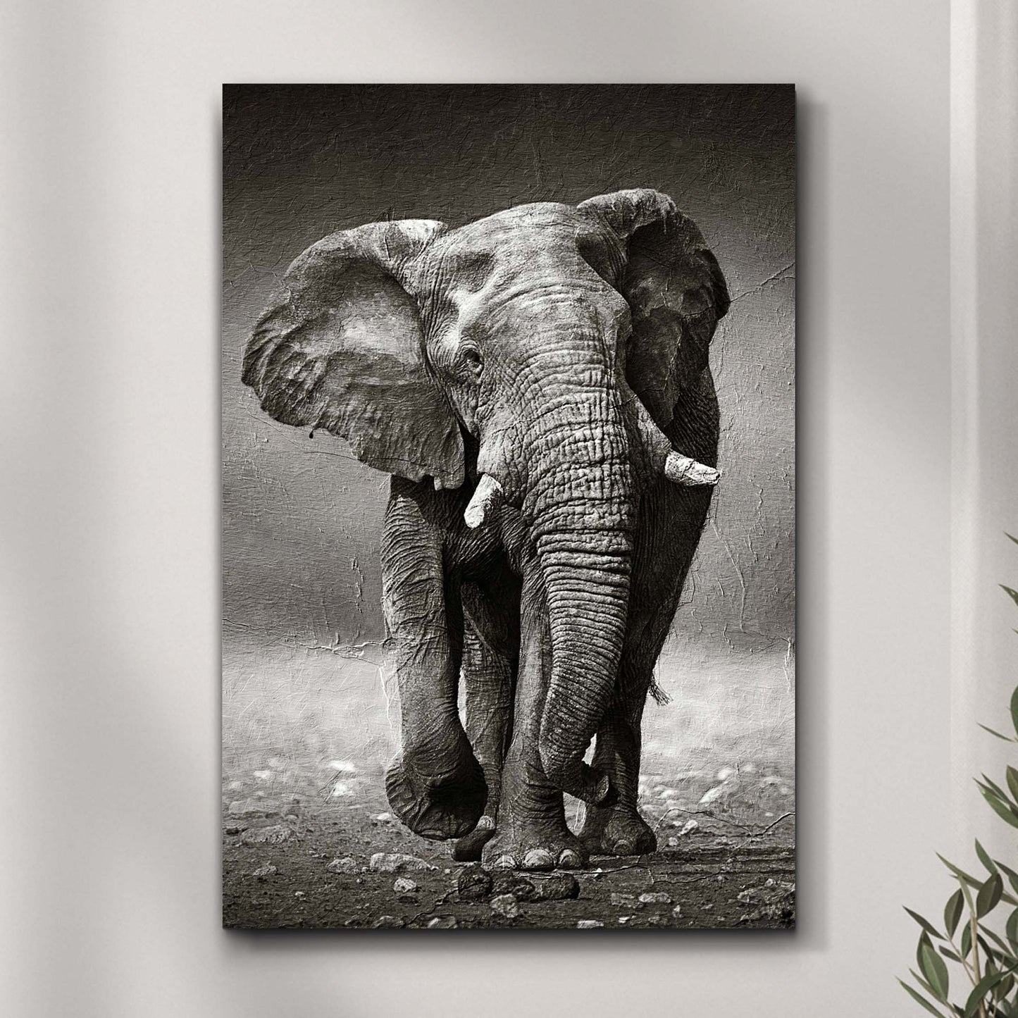 Grayscale Walking Elephant Portrait Canvas Wall Art Style 1 - Image by Tailored Canvases
