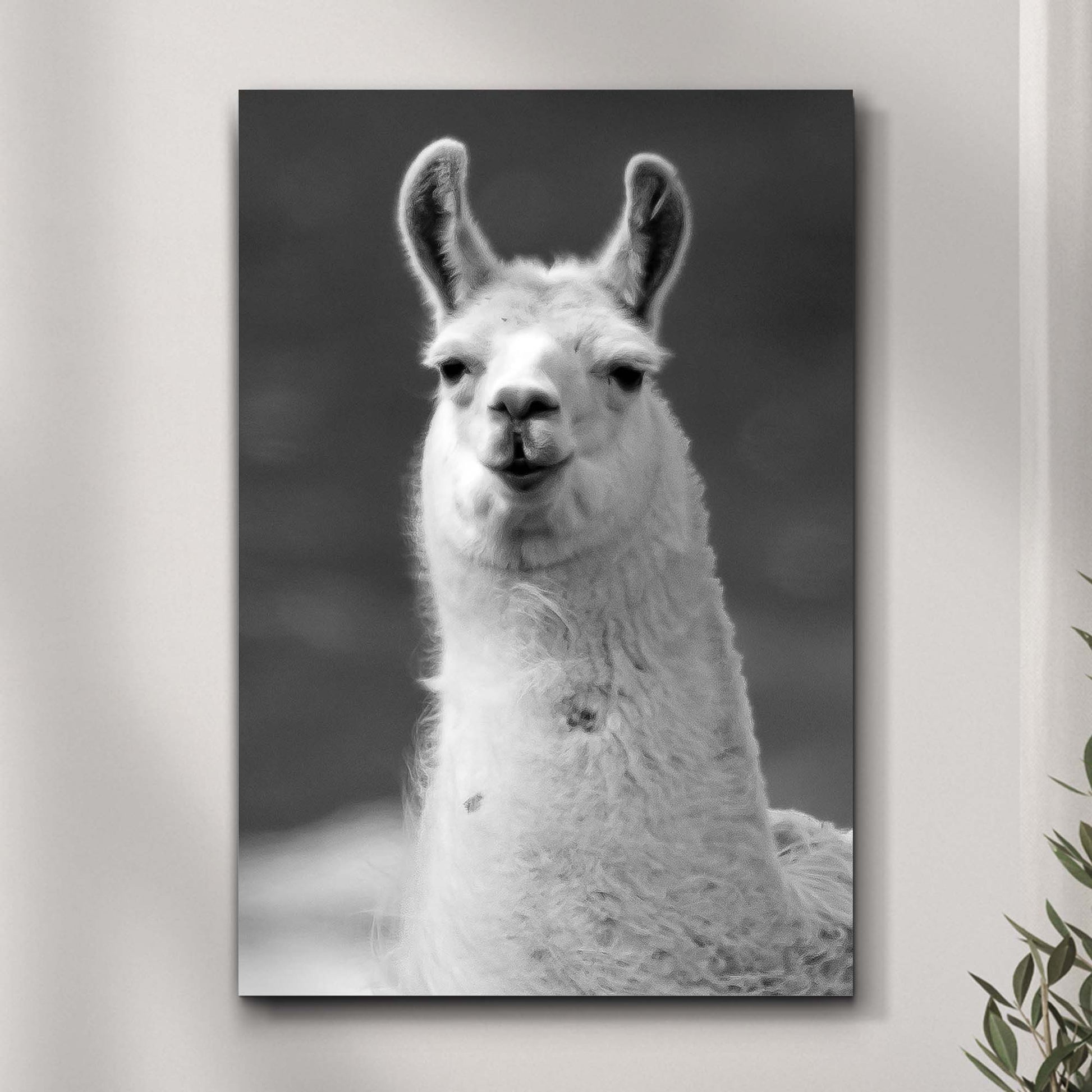 Vague Monochrome Llama Portrait Canvas Wall Art Style 1 - Image by Tailored Canvases