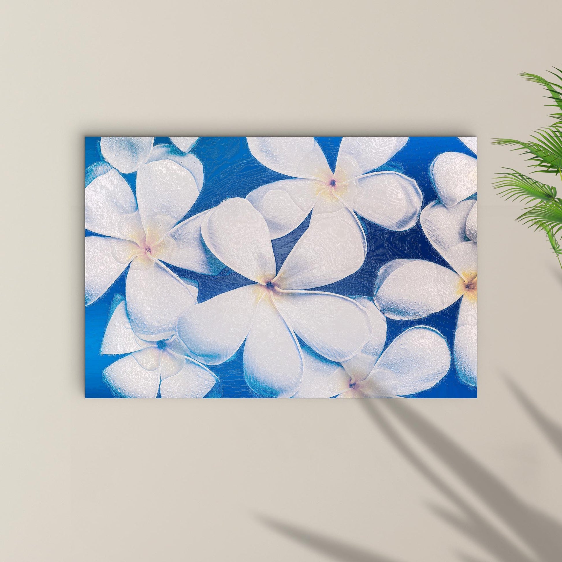 Bright White Frangipani Canvas Wall Art - Image by Tailored Canvases