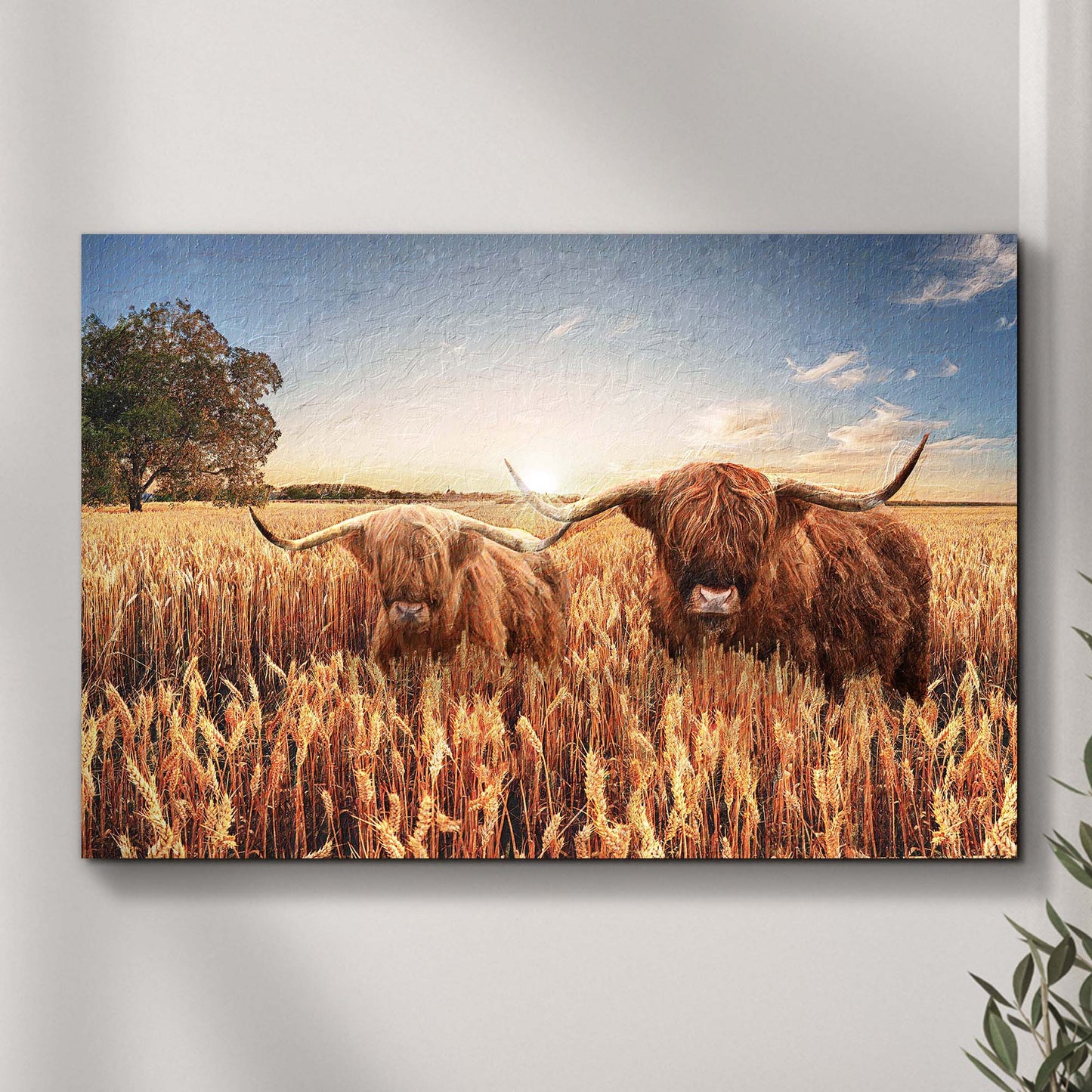 Highland Cow In Wheatfield Canvas Wall Art - Image by Tailored Canvases