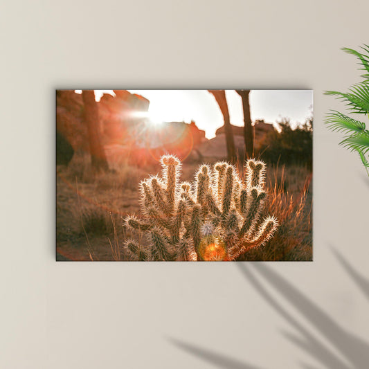 Sunset Ray On Cactus Canvas Wall Art - Image by Tailored Canvases