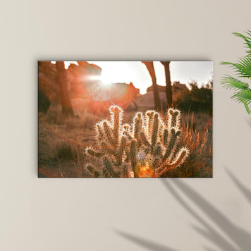 Sunset Ray On Cactus Canvas Wall Art