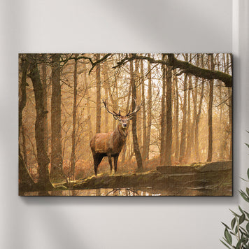 Lone Deer In A Misty Forest Canvas Wall Art (Free Shipping)