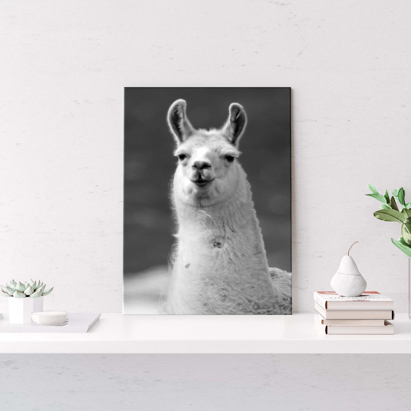 Vague Monochrome Llama Portrait Canvas Wall Art - Image by Tailored Canvases