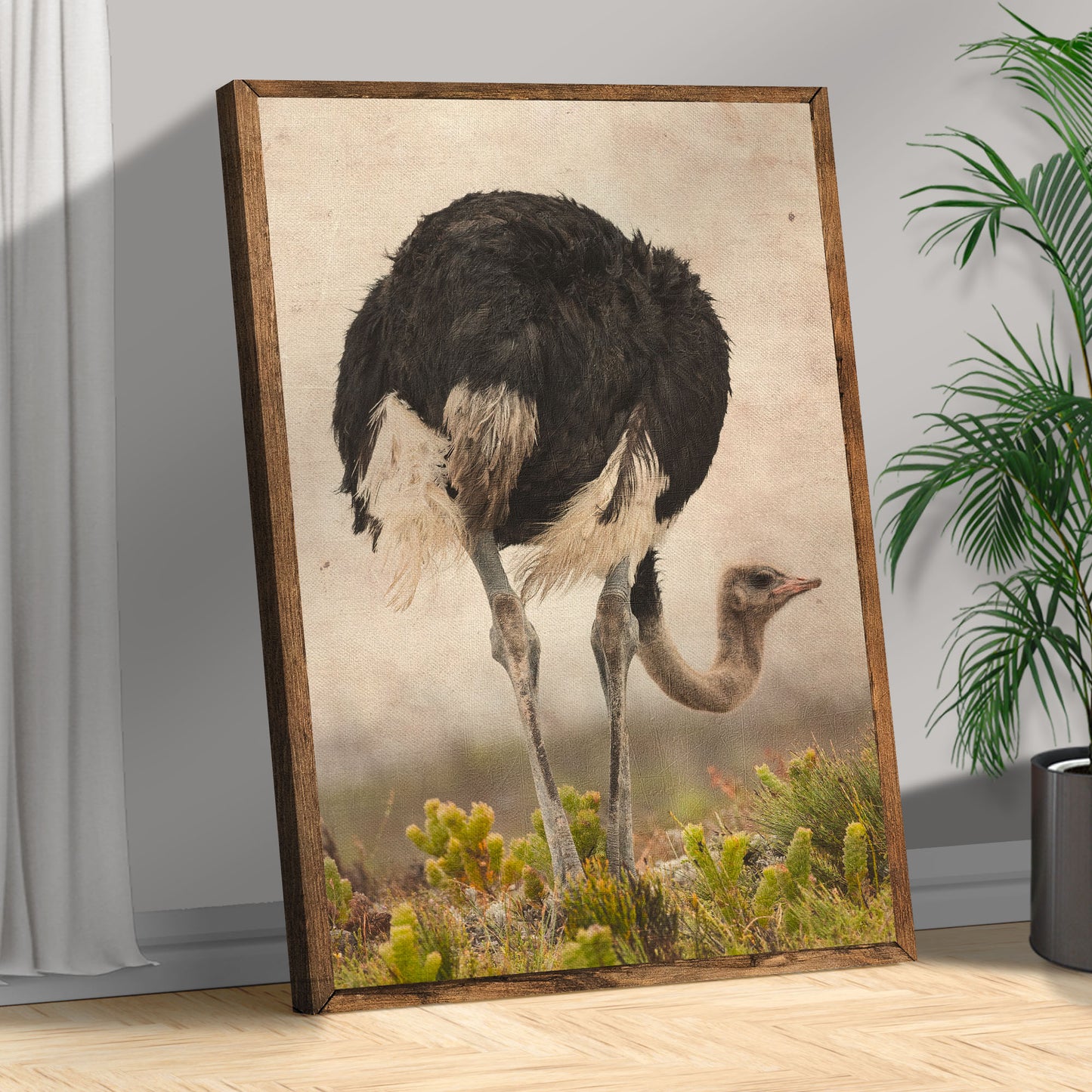 Vintage Ostrich Wall Art II Style 2 - Image by Tailored Canvases